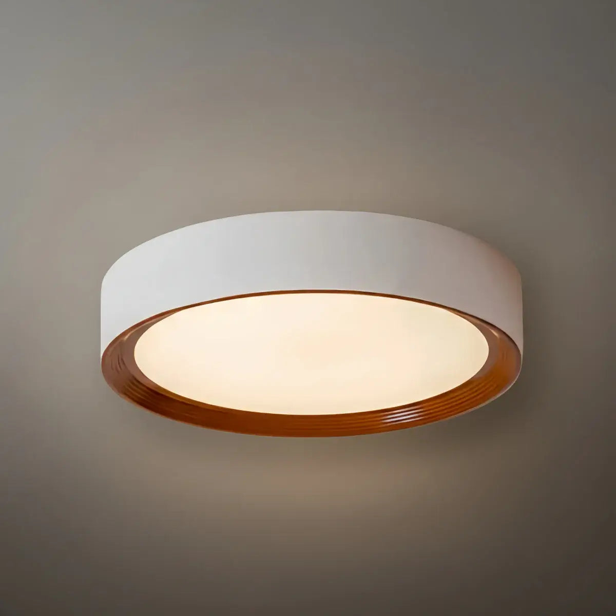 Zenno Modern Flush Mount Ceiling Light